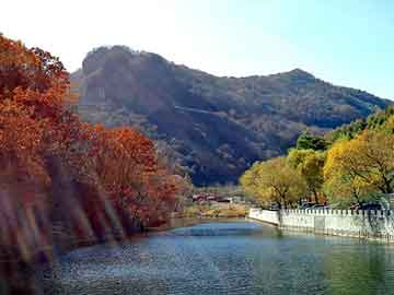 新澳天天开奖资料大全旅游团，杭州期货开户